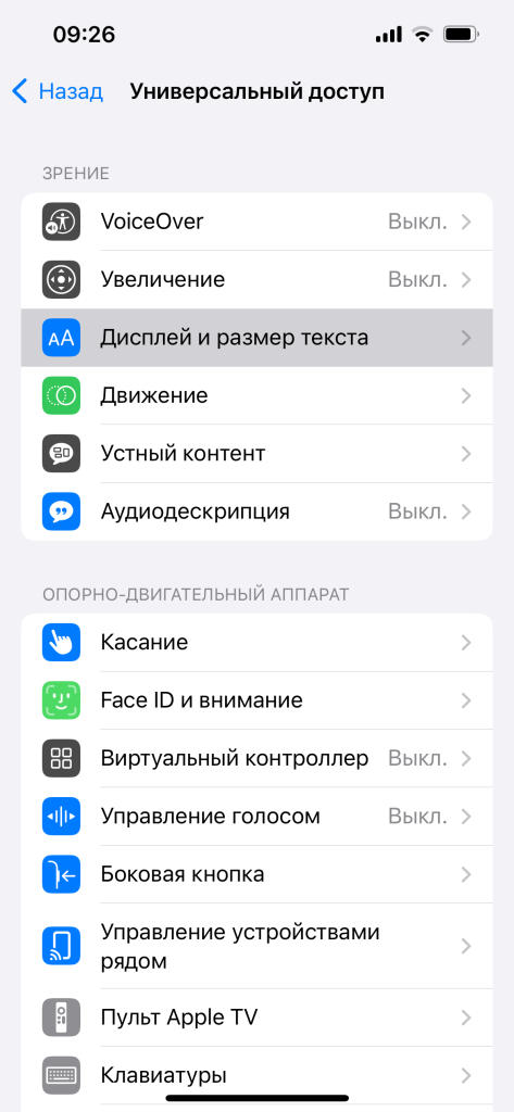 4ДИСПЛ РАЗМ ТКСТ.PNG